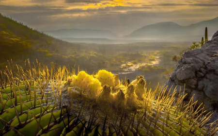 San Juan Raya, Tehuacán: Naturaleza, Historia y Aventura familiar en la Mixteca Poblana.