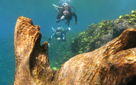 Media Luna: el manantial cristalino donde puedes aprender a bucear en San Luis Potosí.
