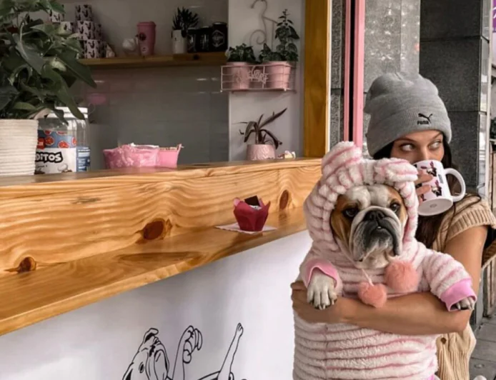 Escapadas Petfriendly: Celebra el Día de la Mascota.