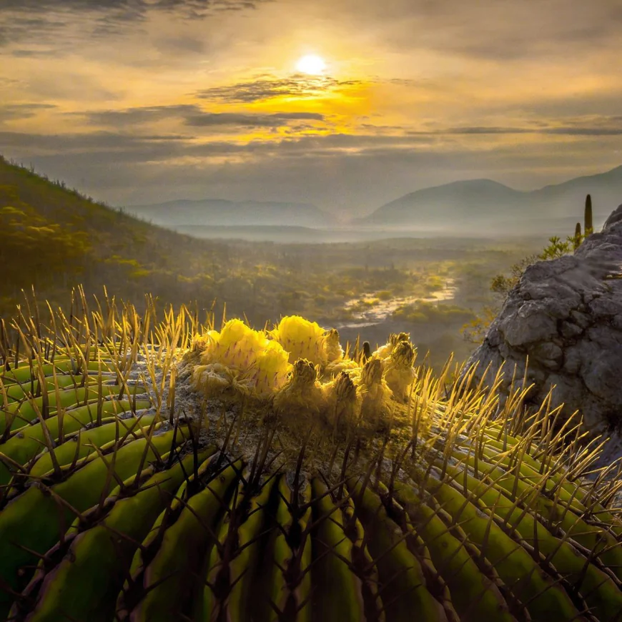 San Juan Raya, Tehuacán: Naturaleza, Historia y Aventura familiar en la Mixteca Poblana.