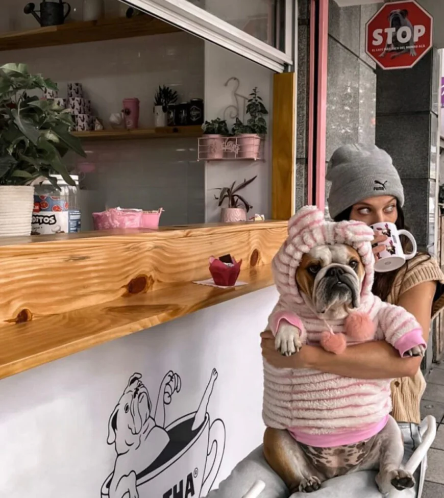 Escapadas Petfriendly: Celebra el Día de la Mascota.