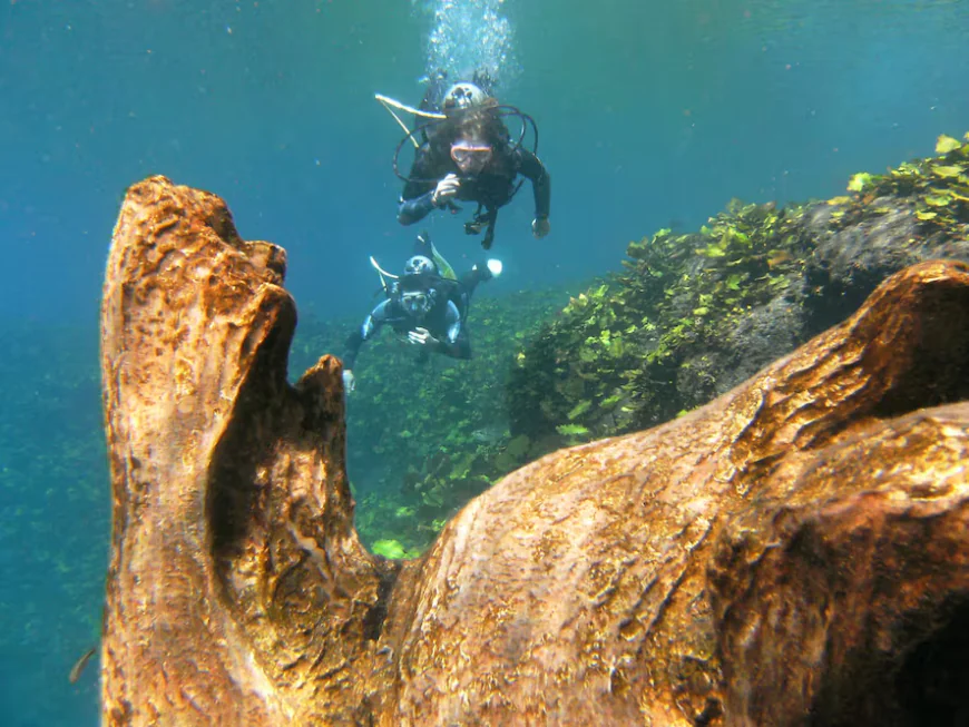 Media Luna: el manantial cristalino donde puedes aprender a bucear en San Luis Potosí.