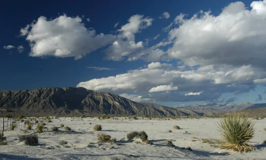 Cuatro Ciénegas: caminar sobre el tiempo